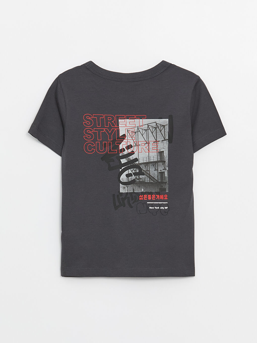 Crew Neck Printed Short Sleeve Boys' T-Shirt -S4G029Z4-VFB