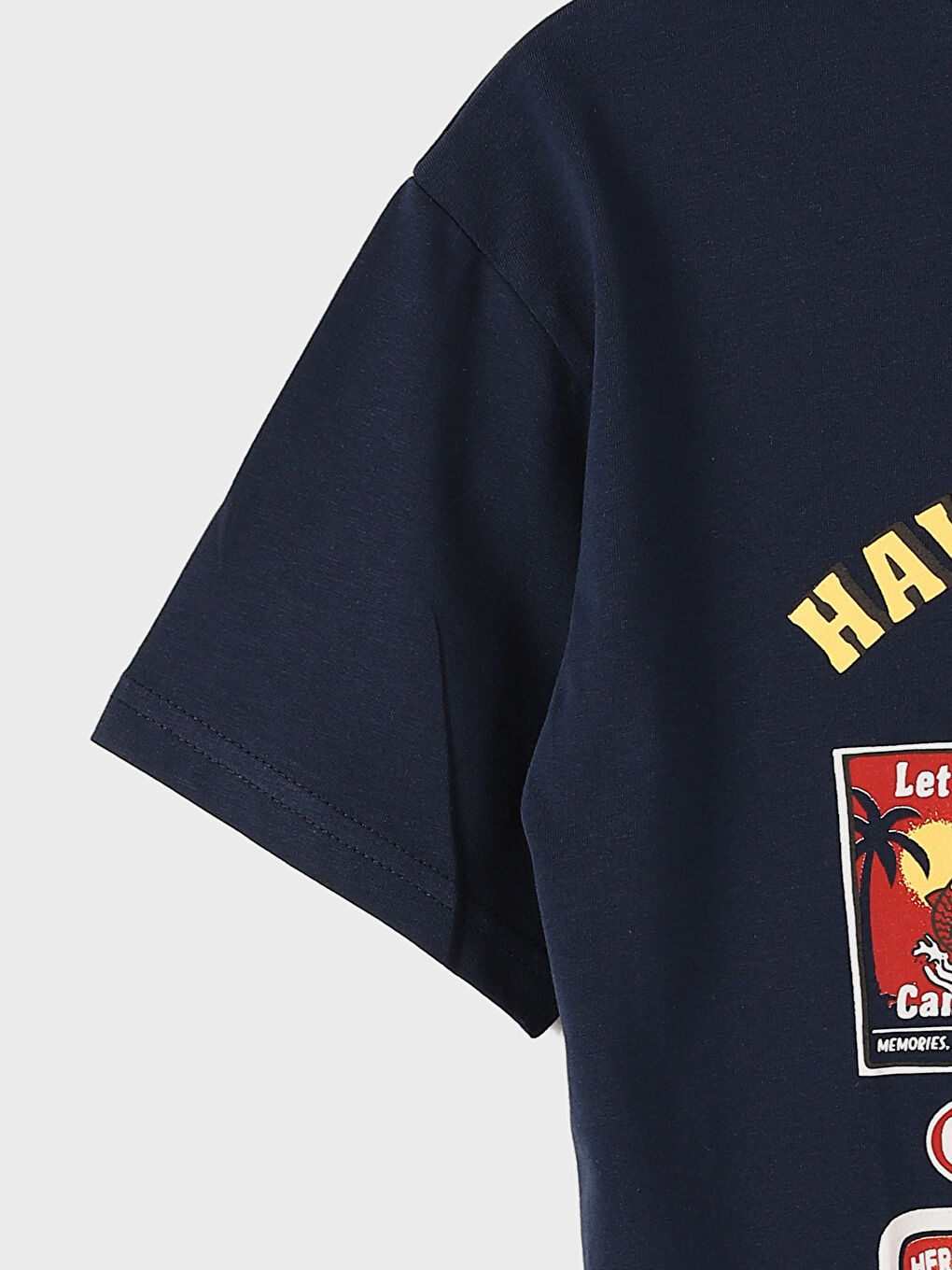 Crew Neck Short Sleeve Printed Boys' T-Shirt -S4G038Z4-HFK