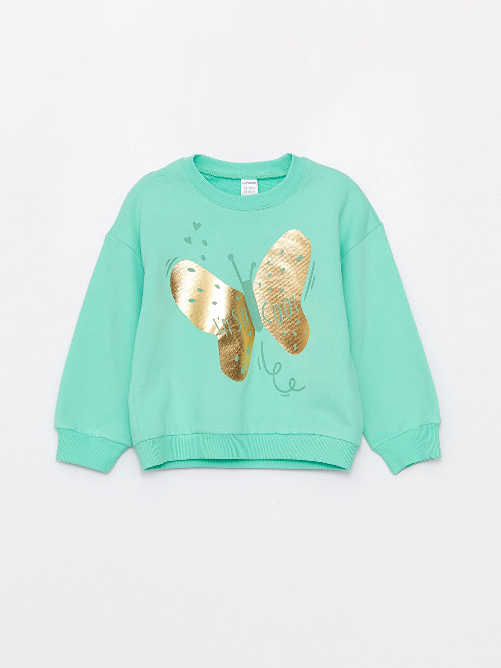 Crew Neck Long Sleeve Baby Girl Sweatshirt and Tracksuit Bottom 2-Pack Set -S4GN82Z1-G8U