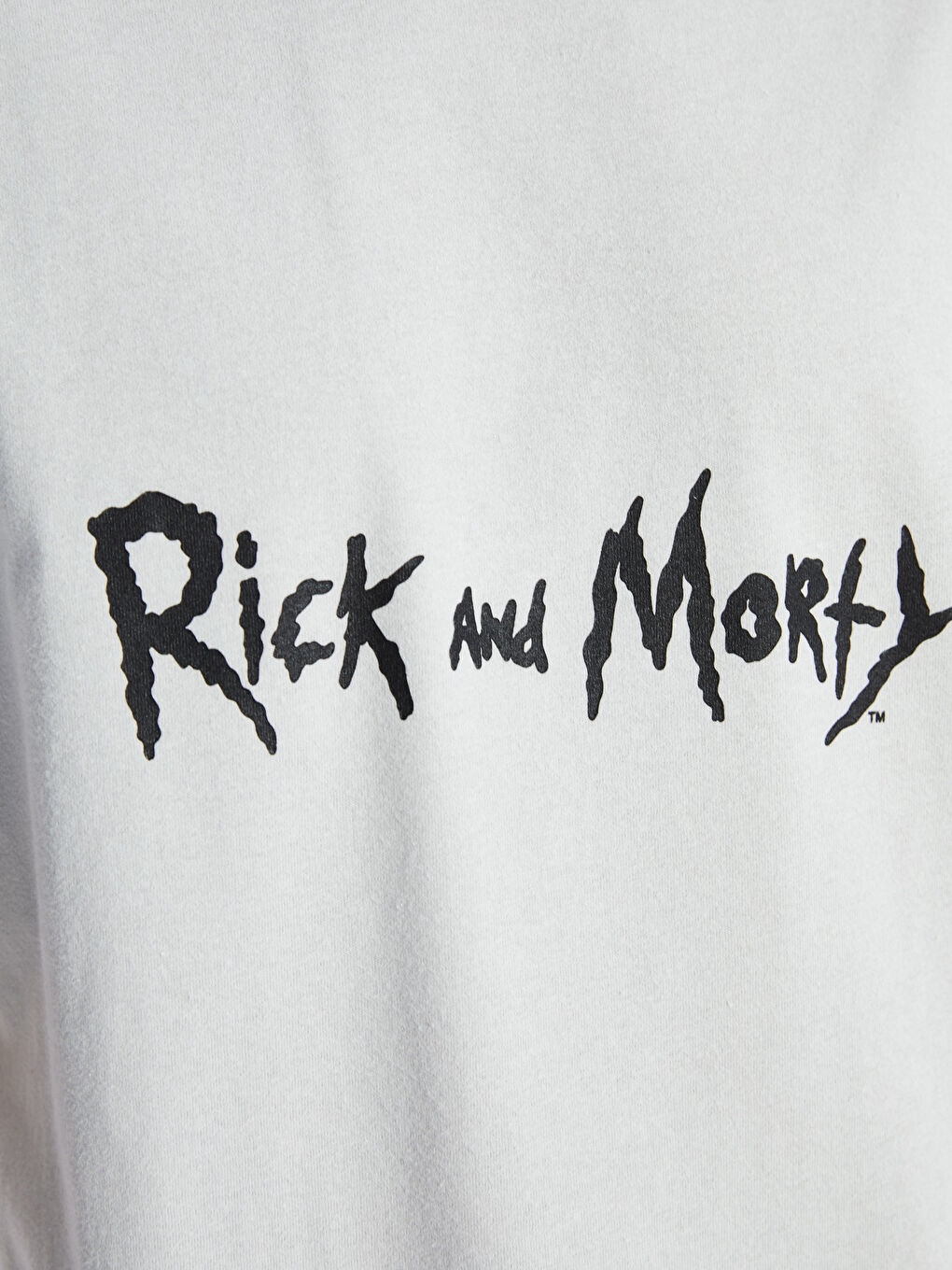 LCW HOME Açık Gri Rick and Morty Baskılı Bisiklet Yaka Kısa Kollu Erkek Tişört - 3