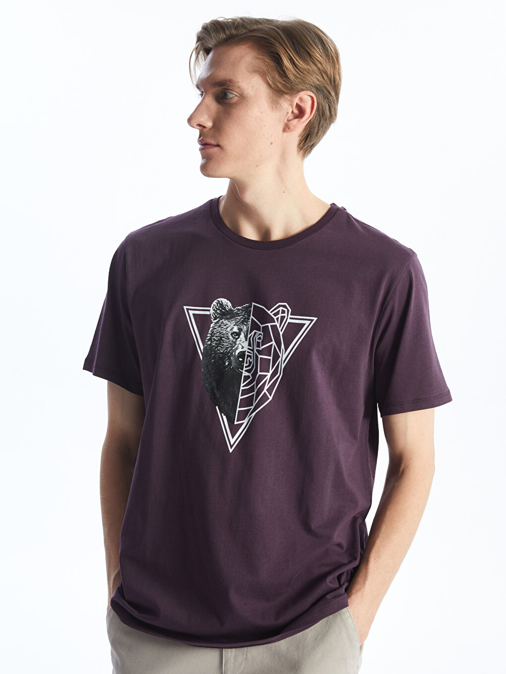 Mürdüm Bisiklet Yaka Kısa Kollu Baskılı Penye Erkek Tişört