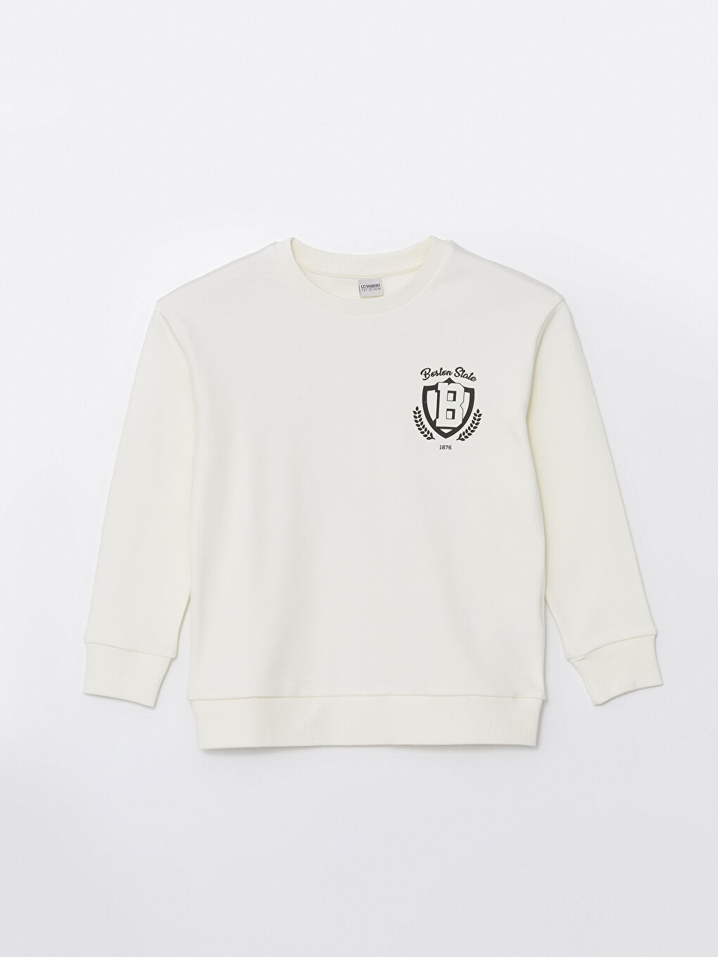 Crew Neck Printed Long Sleeve Boy Sweatshirt -S4HV79Z4-FDJ