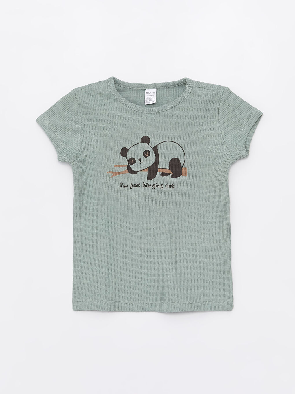 Yeşil Bisiklet Yaka Kısa Kollu Baskılı Erkek Bebek Şortlu Pijama Takımı-1