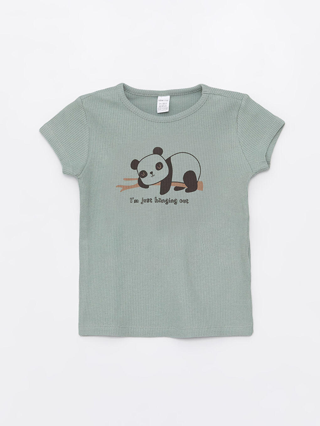 Yeşil Bisiklet Yaka Kısa Kollu Baskılı Erkek Bebek Şortlu Pijama Takımı-1