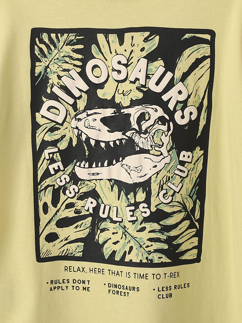 Crew Neck Printed Short Sleeve Boys' T-Shirt-2