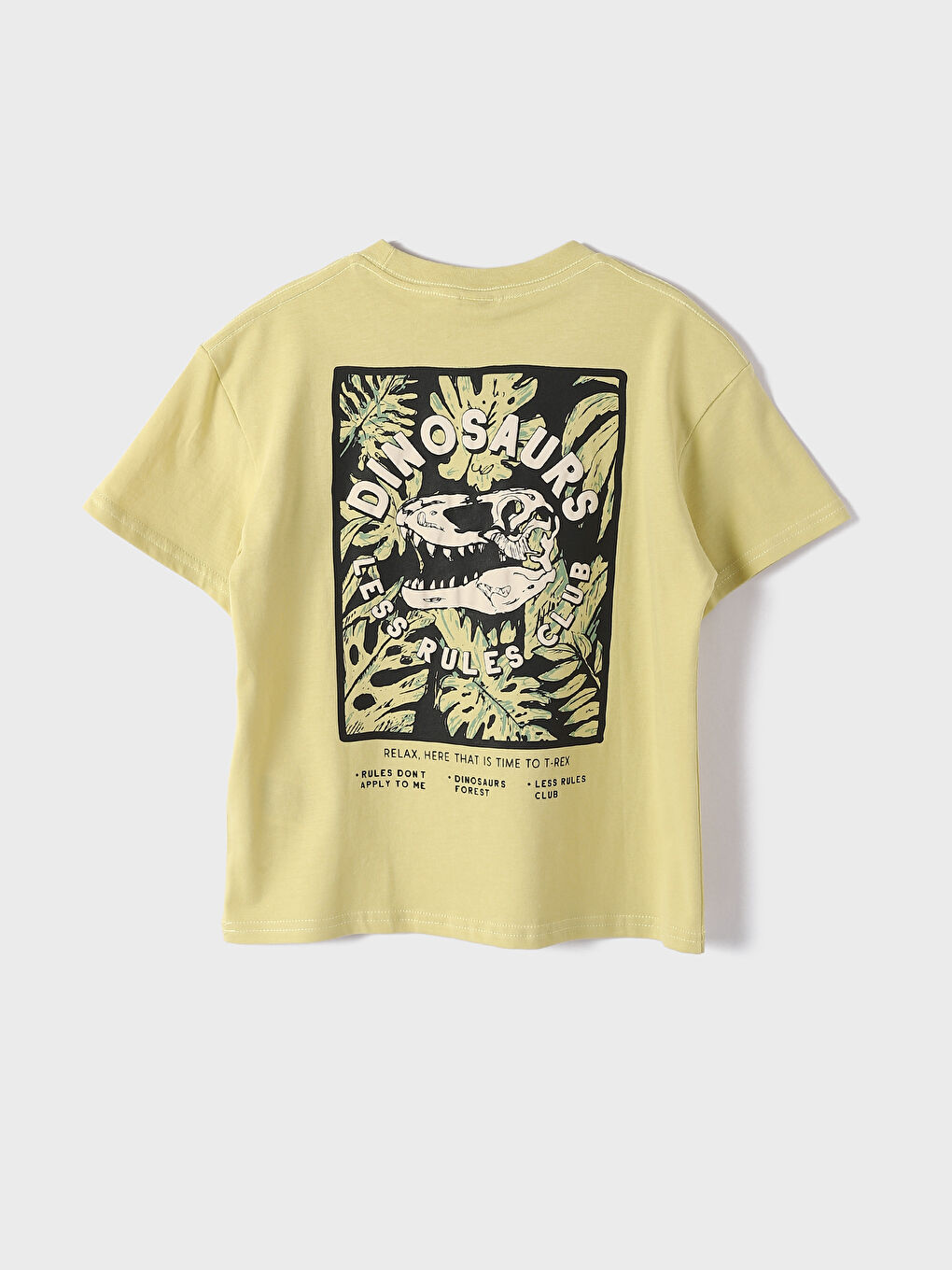 Crew Neck Printed Short Sleeve Boys' T-Shirt-1