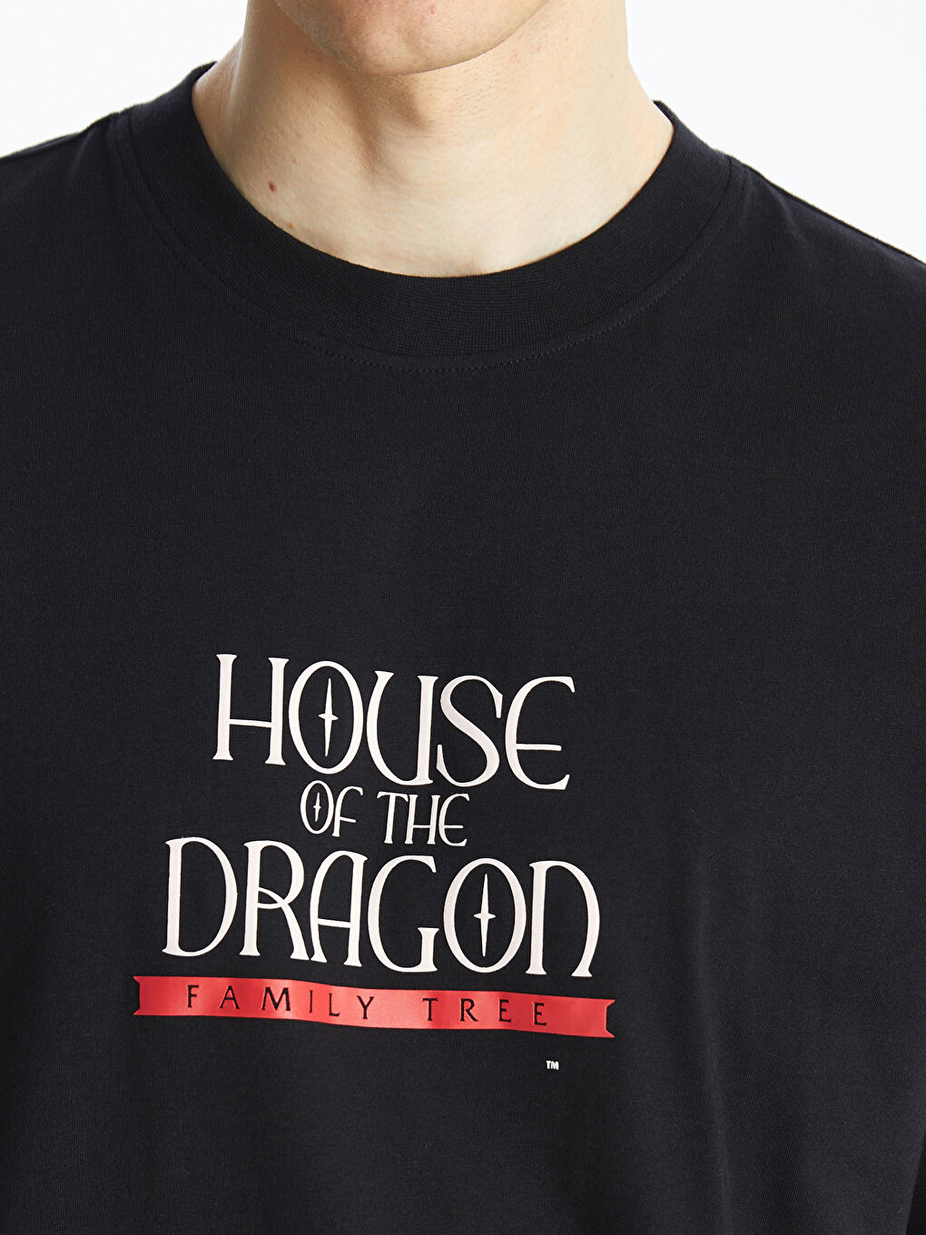 XSIDE Crew Neck House of the Dragon Printed Jersey Men's T-Shirt -S4II93Z8-CVL