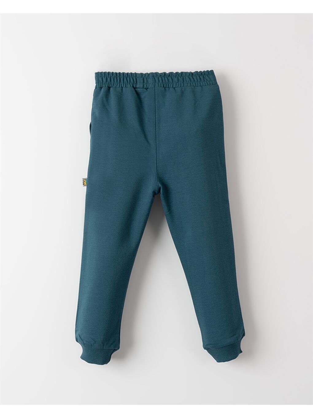 Mavi Beli Lastikli Baskılı Erkek Bebek Jogger Eşofman Altı-1