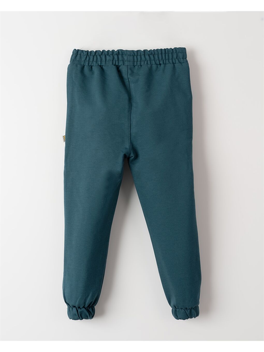 Mavi Beli Lastikli Desenli Erkek Bebek Jogger Eşofman Altı-1