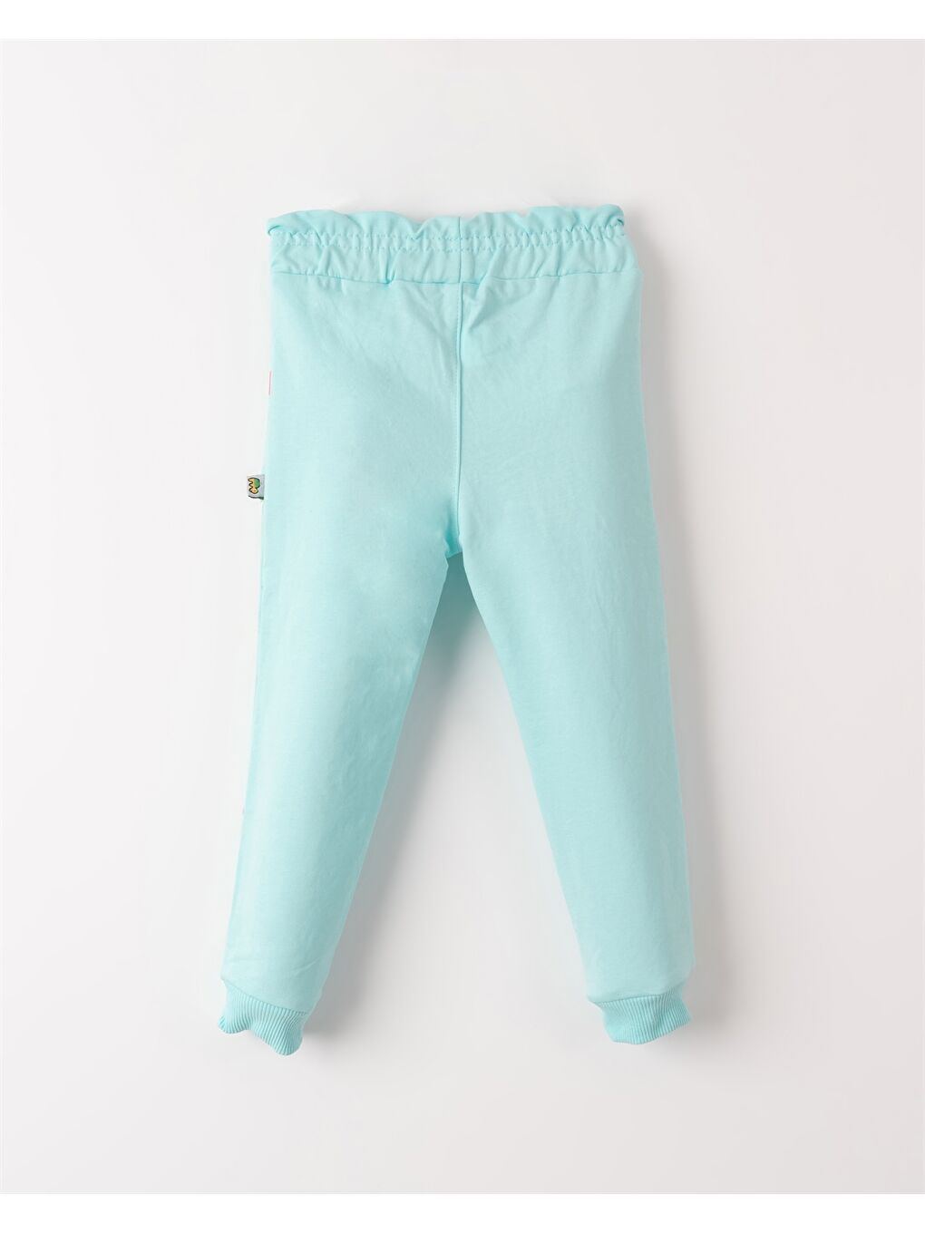 Turkuaz Beli Lastikli Desenli Kız Bebek Jogger Eşofman Alt-1