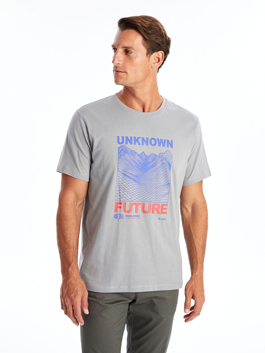 Gri Bisiklet Yaka Kısa Kollu Baskılı Penye Erkek Tişört