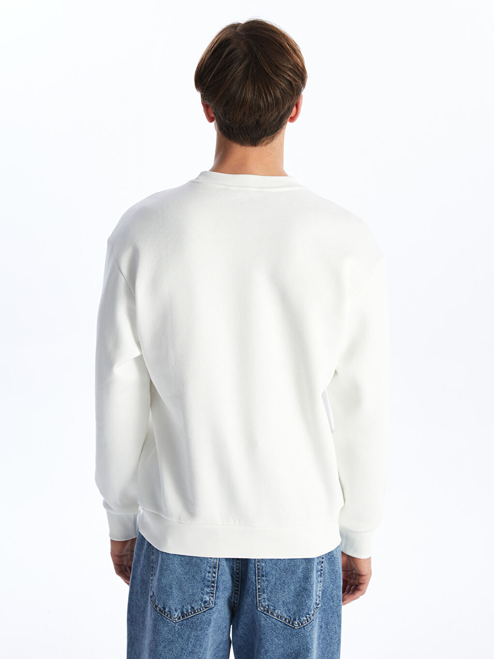 Crew Neck Long Sleeve Men's Thick Sweatshirt -S4LD35Z8-R9J