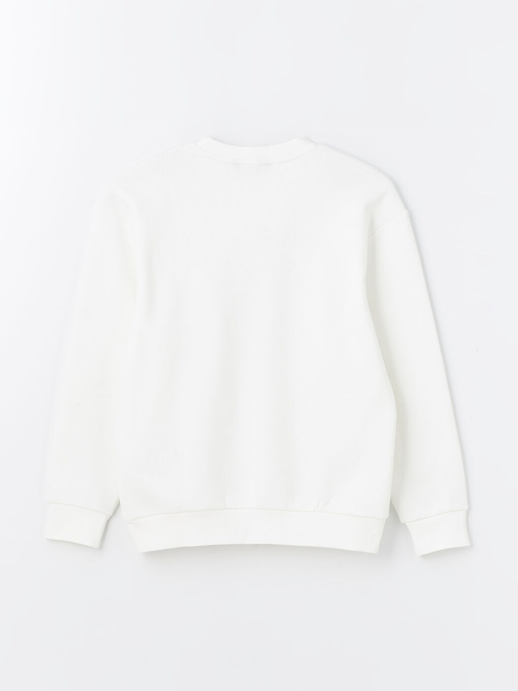 Crew Neck Long Sleeve Men's Thick Sweatshirt -S4LD35Z8-R9J