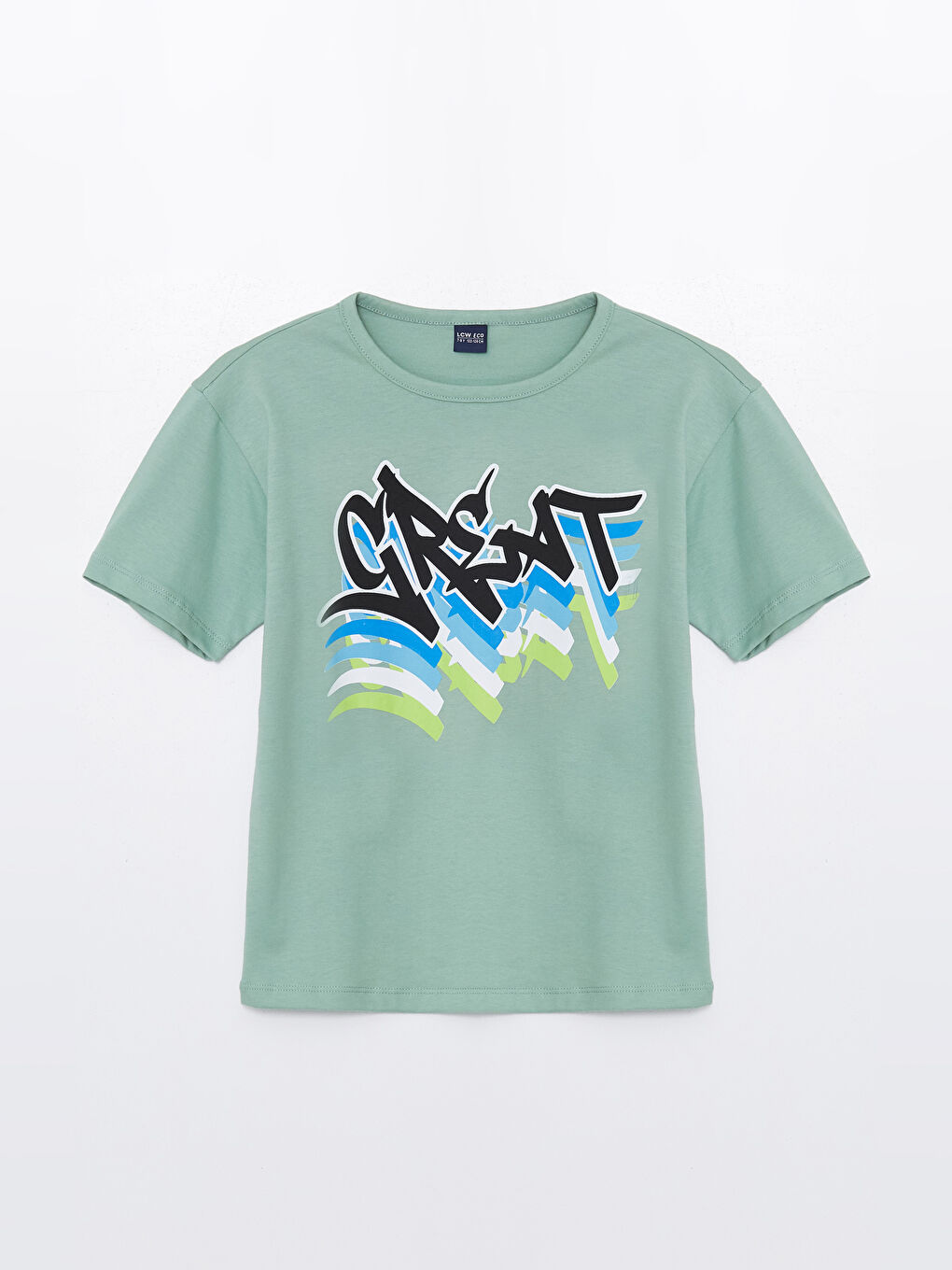 Yeşil Rahat Kalıp Erkek Çocuk Tişört ve Şort-1