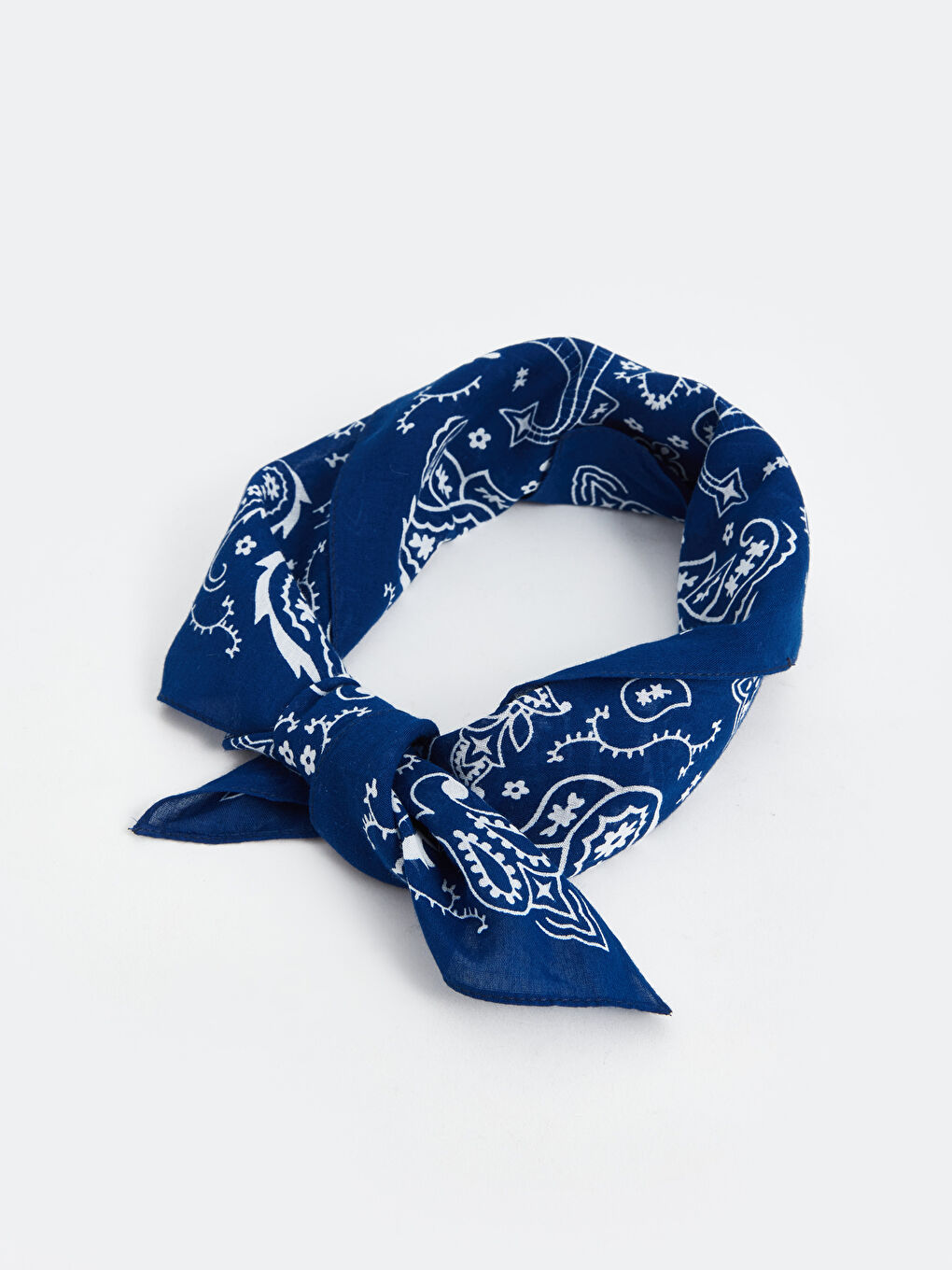 LCW ACCESSORIES Mavi Desenli Kadın Fular - 1