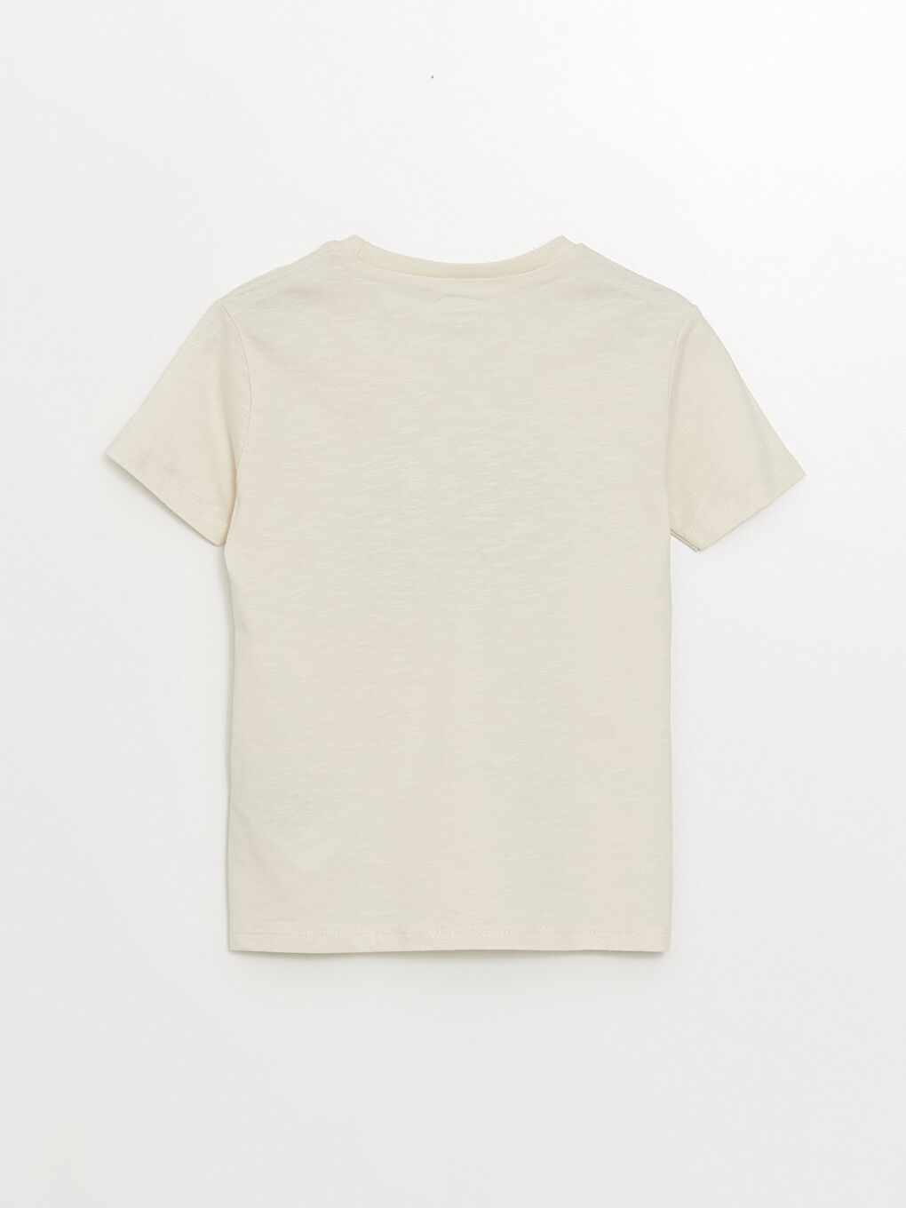 Bej Dinozor Baskılı Erkek Çocuk Tişört-1