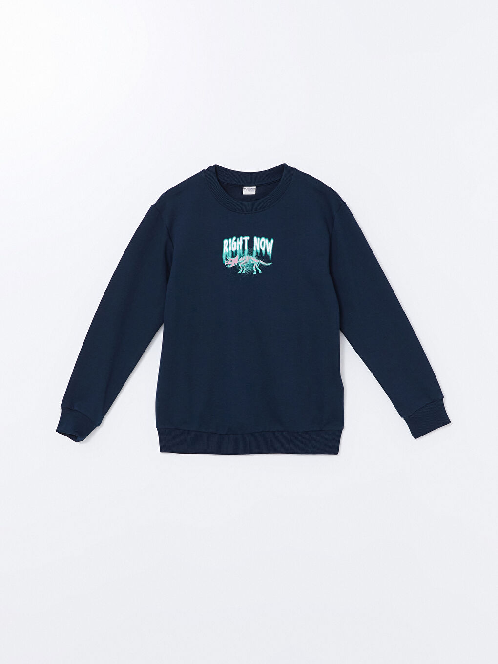 LCW Kids Lacivert Bisiklet Yaka Baskılı Uzun Kollu Erkek Çocuk Sweatshirt