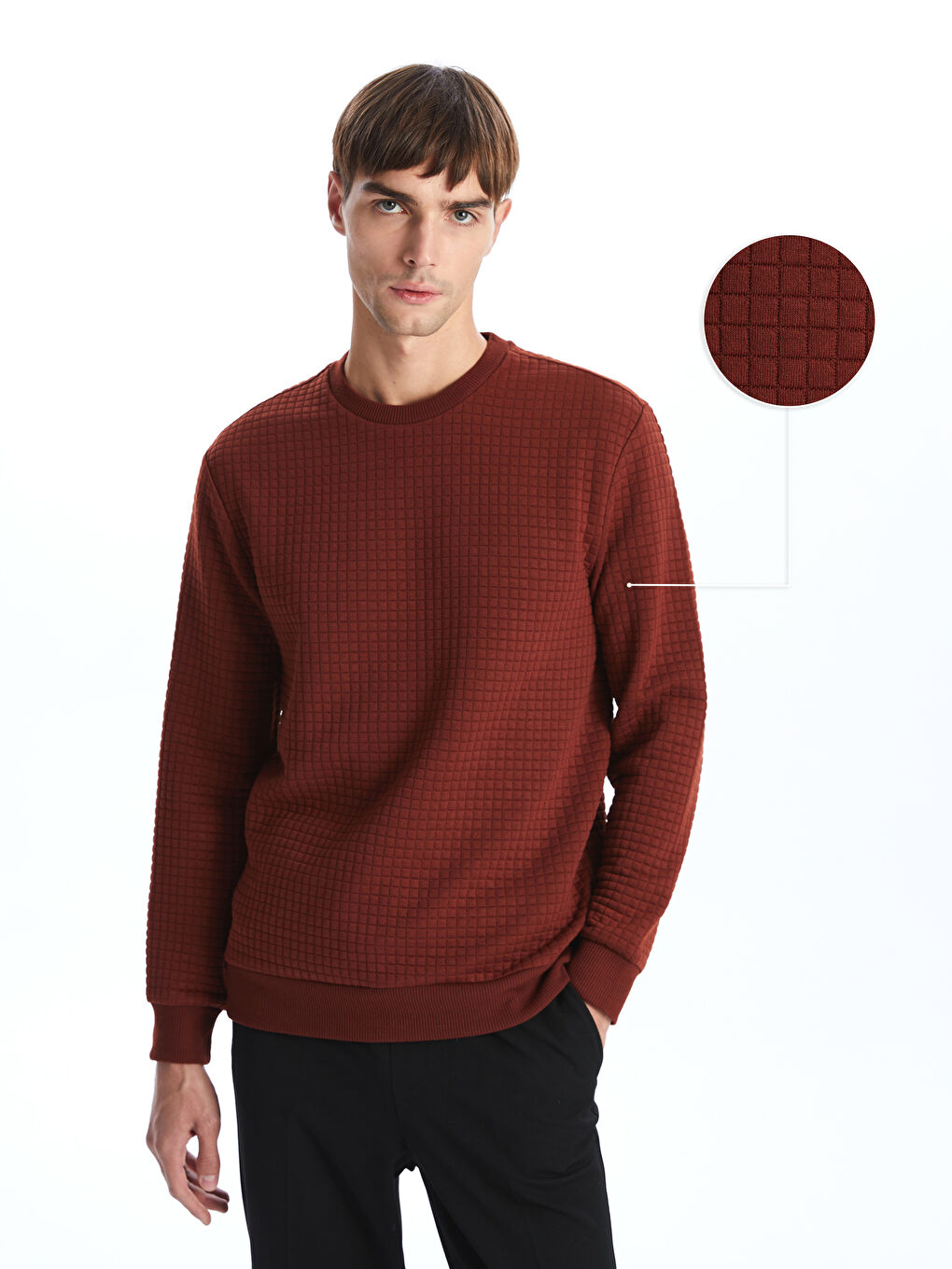 LCW Vision Crew Neck Long Sleeve Men's Sweatshirt -W43462Z8-YA9