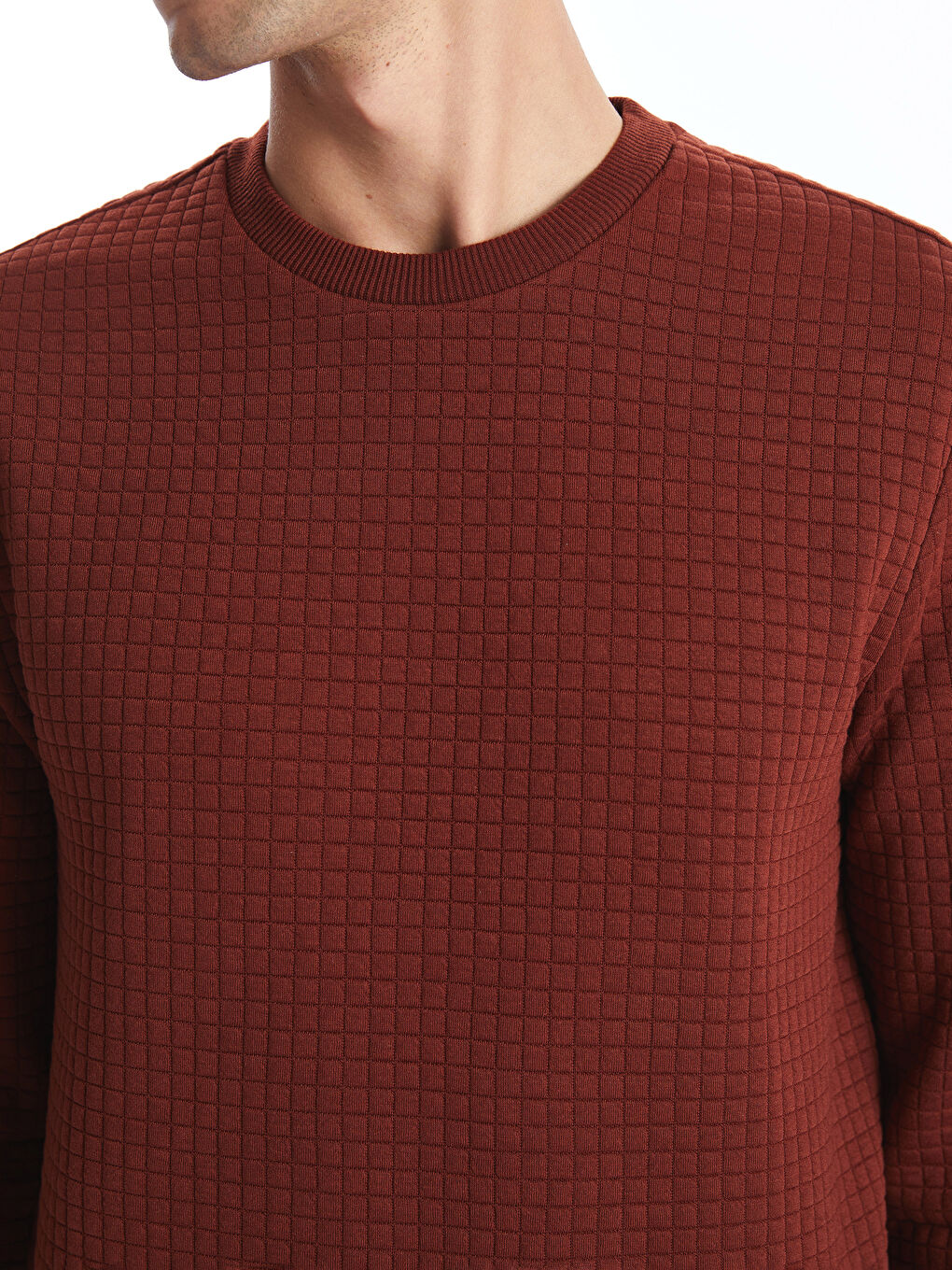 LCW Vision Crew Neck Long Sleeve Men's Sweatshirt -W43462Z8-YA9