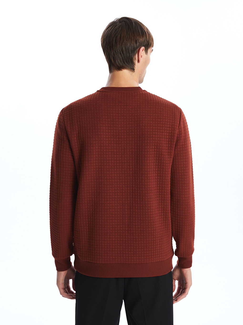 LCW Vision Crew Neck Long Sleeve Men's Sweatshirt -W43462Z8-YA9