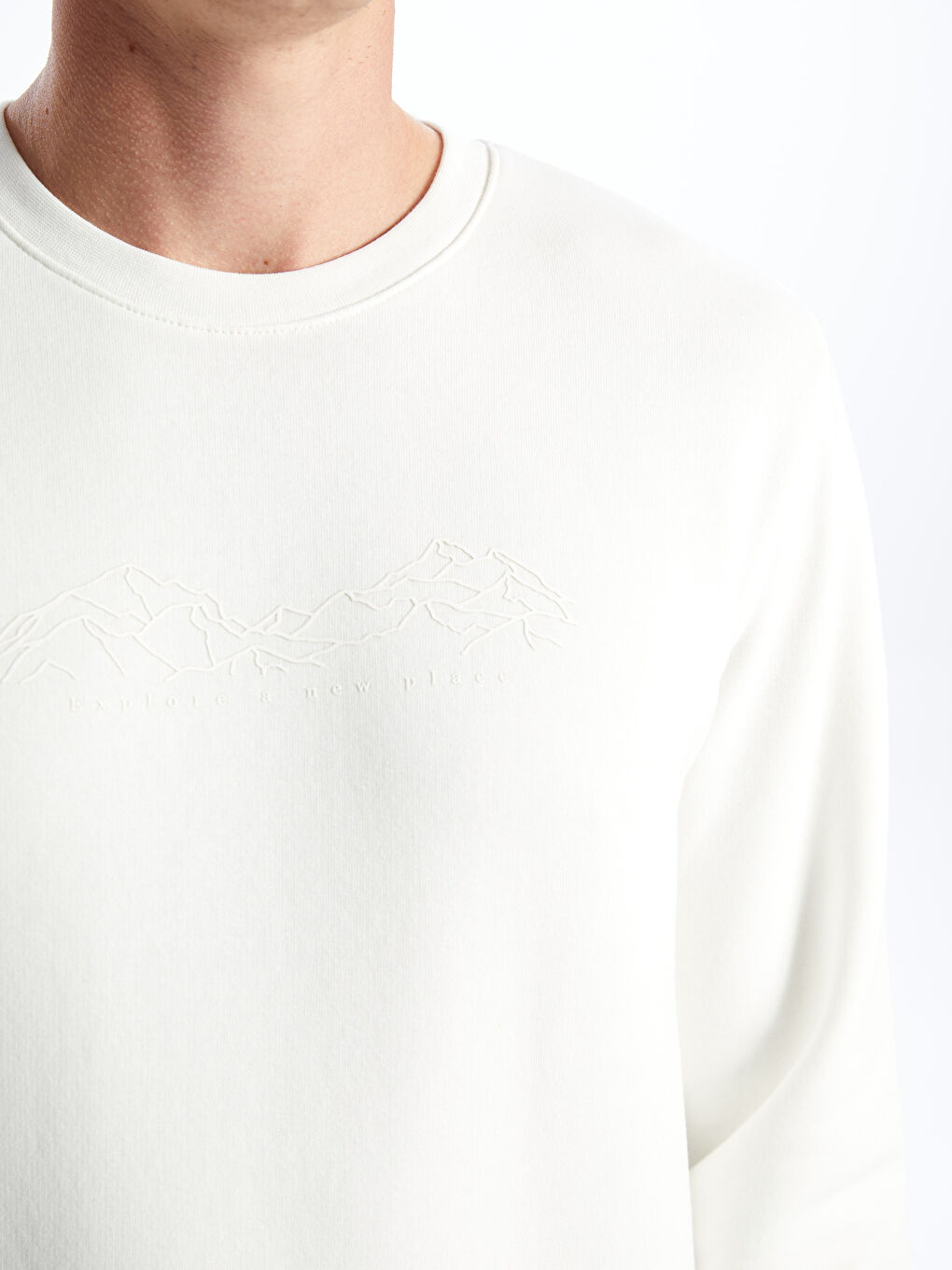 Crew Neck Printed Men's Thick Sweatshirt -W44113Z8-R9J