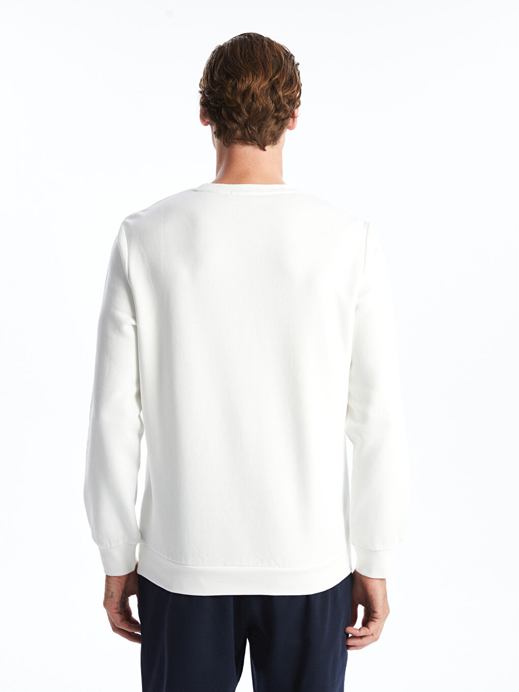 Crew Neck Printed Men's Thick Sweatshirt -W44113Z8-R9J