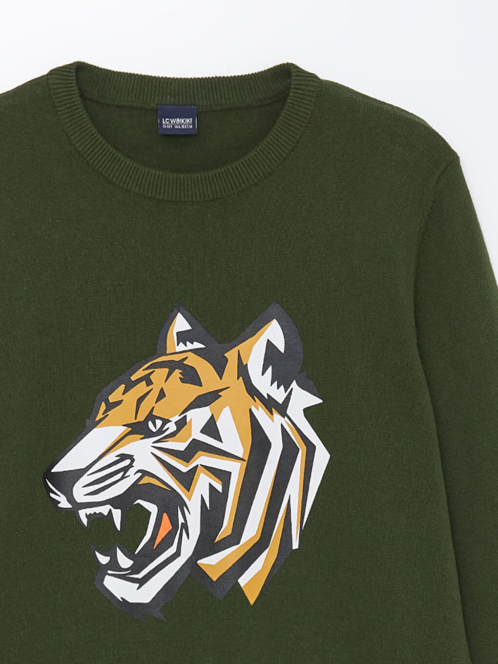 Crew Neck Printed Long Sleeve Boys' Knitwear Sweater -W44781Z4-HCL