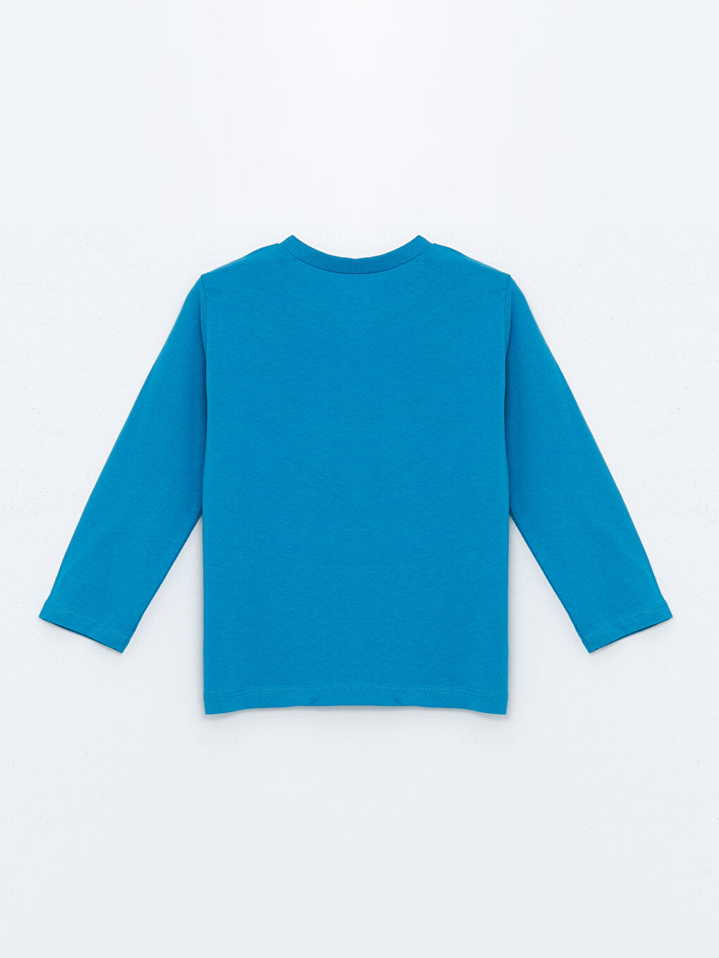 Crew Neck Long Sleeve Printed Boys' T-Shirt 2 Pack-4