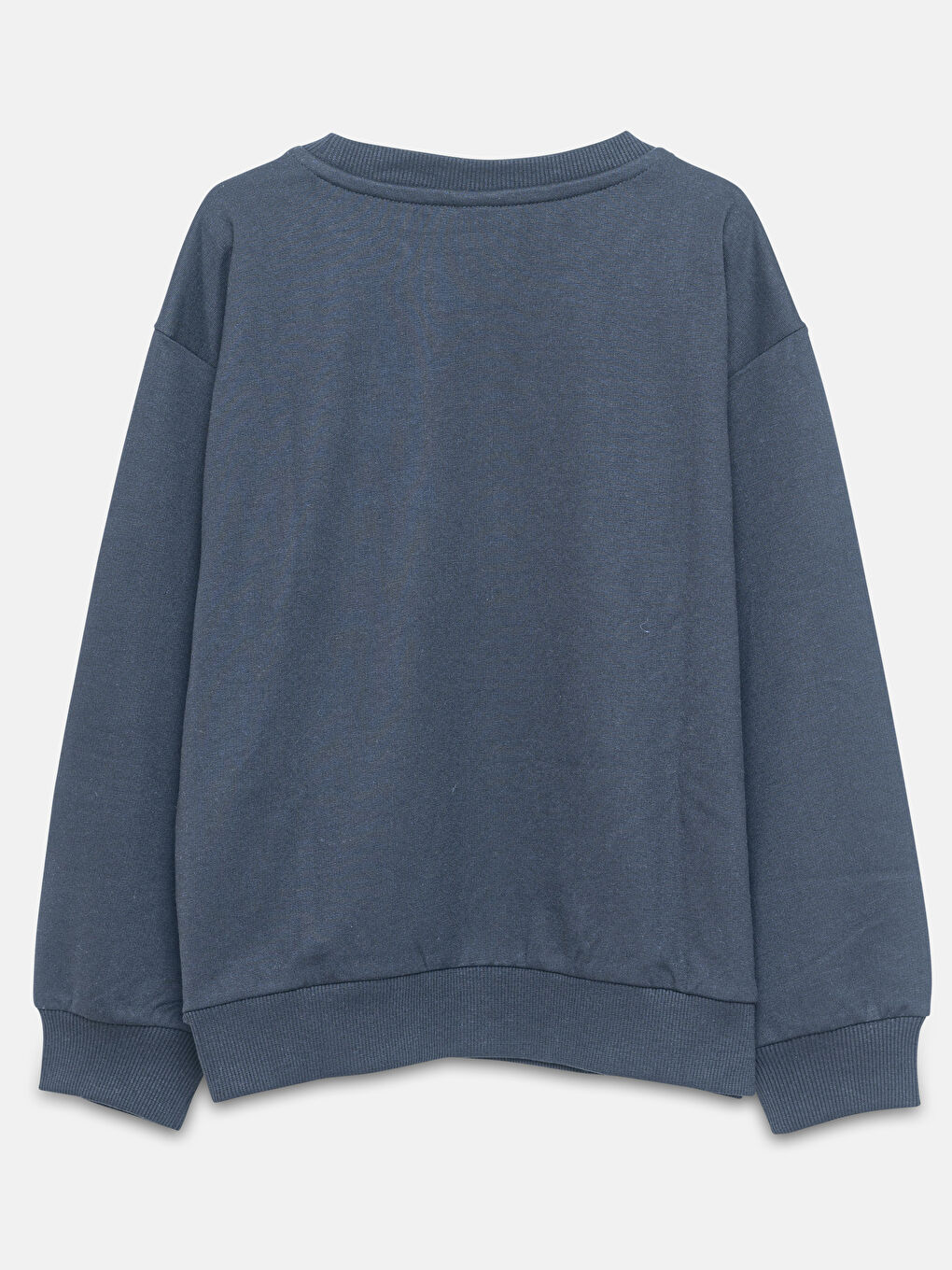 Crew Neck Printed Long Sleeve Girls' Sweatshirt-1