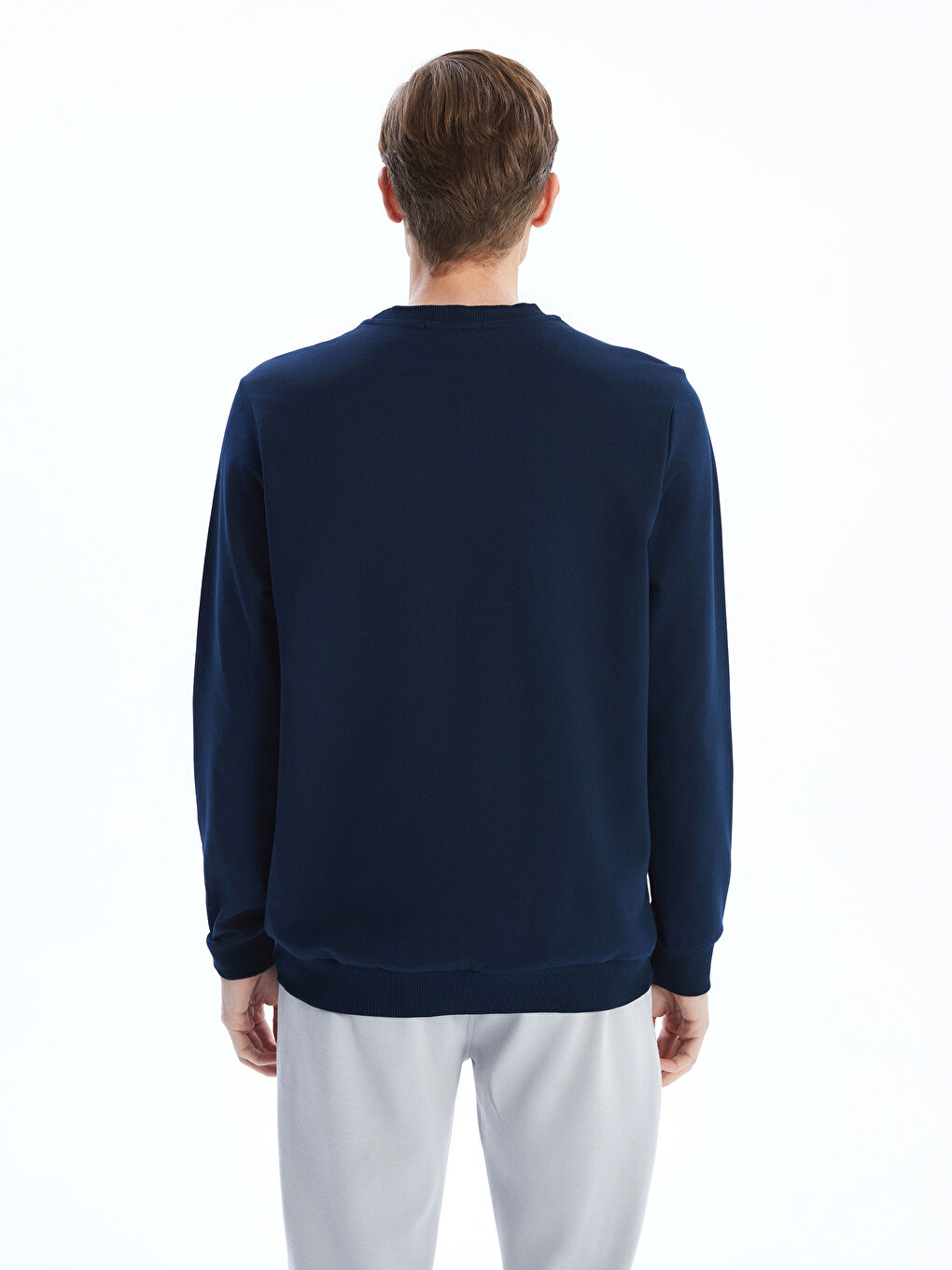 Crew Neck Printed Men's Thick Sweatshirt-3