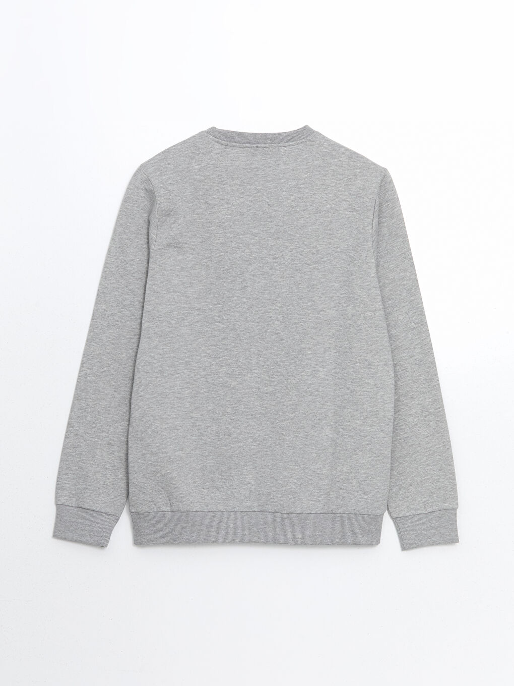 Crew Neck Printed Men's Thick Sweatshirt-5