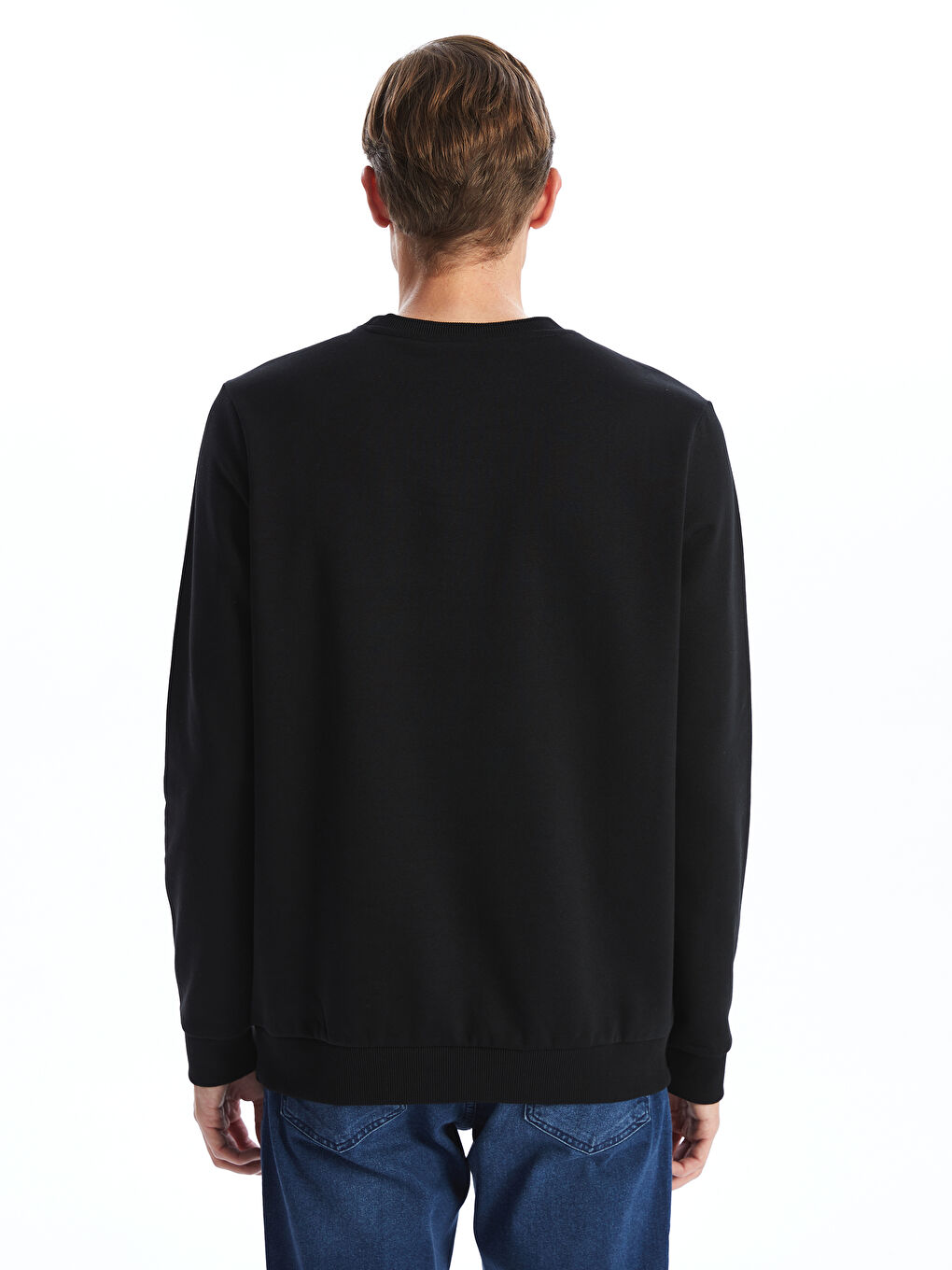 Crew Neck Printed Men's Thick Sweatshirt-3