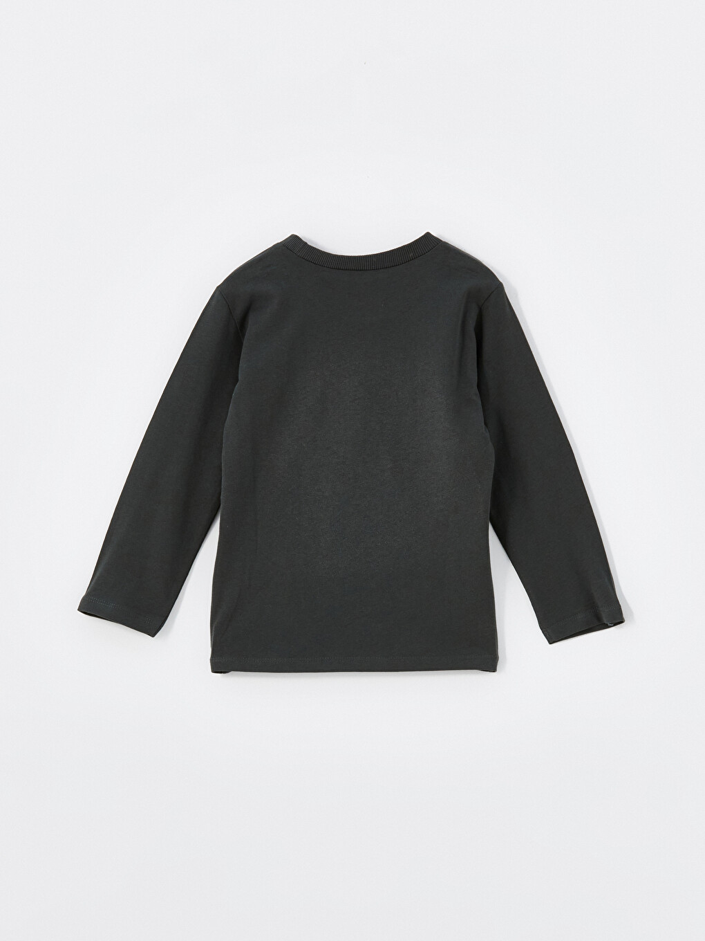 Crew Neck Printed Boys' T-Shirt 2 Pack-3