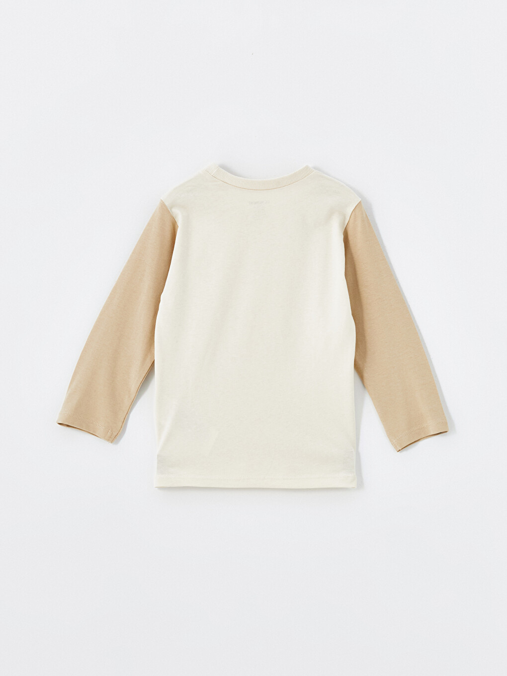Crew Neck Printed Boys' T-Shirt 2 Pack-6