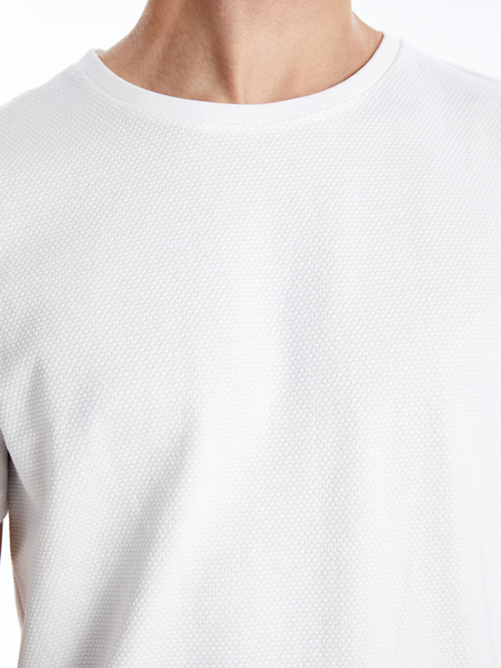 LCW Vision Crew Neck Jersey Men's T-Shirt -W46066Z8-Q6K