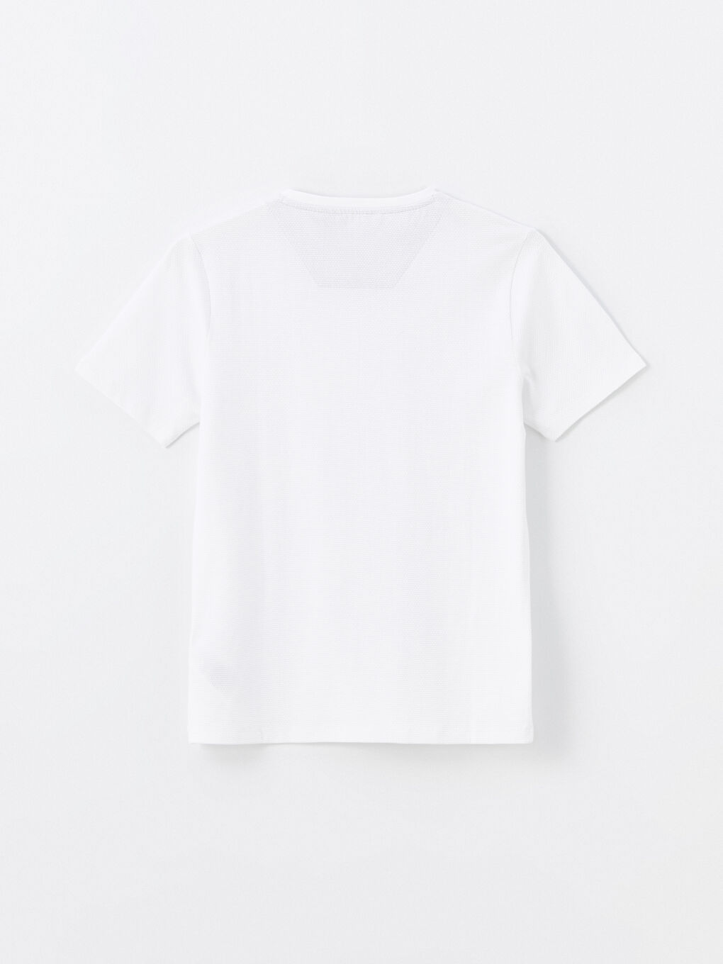 LCW Vision Crew Neck Jersey Men's T-Shirt -W46066Z8-Q6K