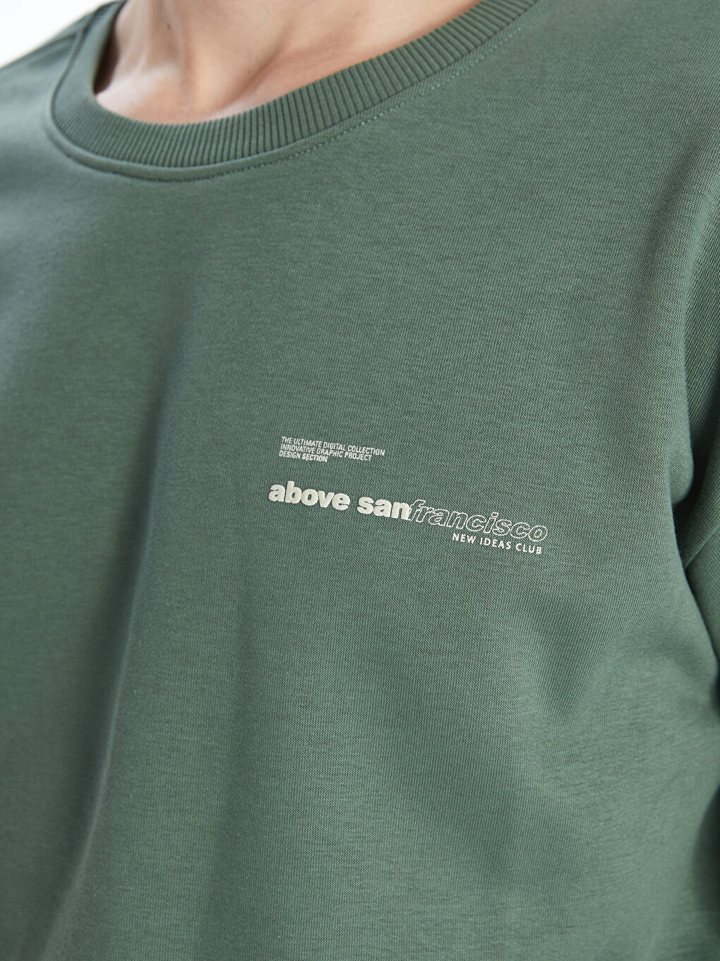 Crew Neck Printed Men's Thick Sweatshirt-2