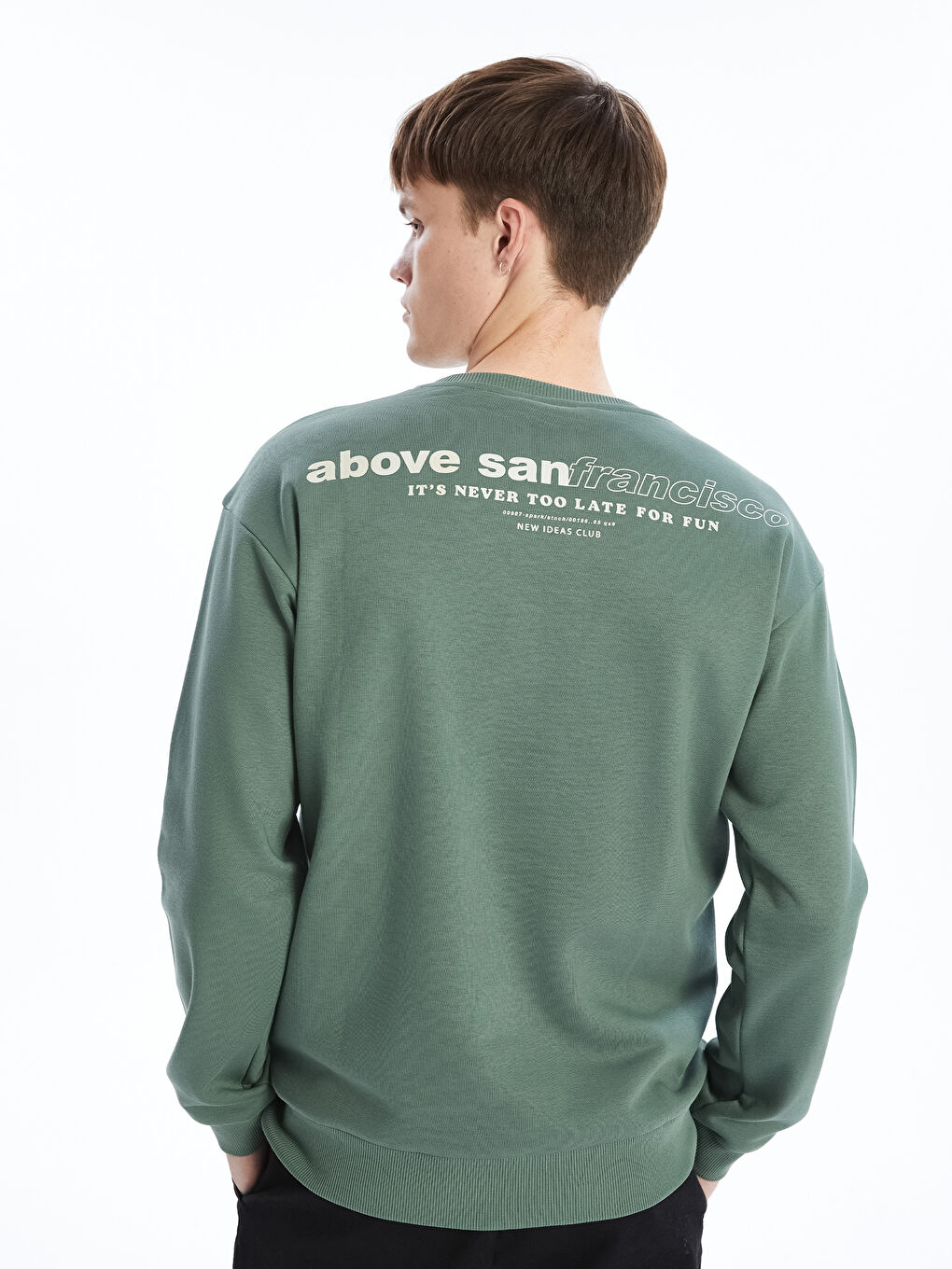 Crew Neck Printed Men's Thick Sweatshirt-3