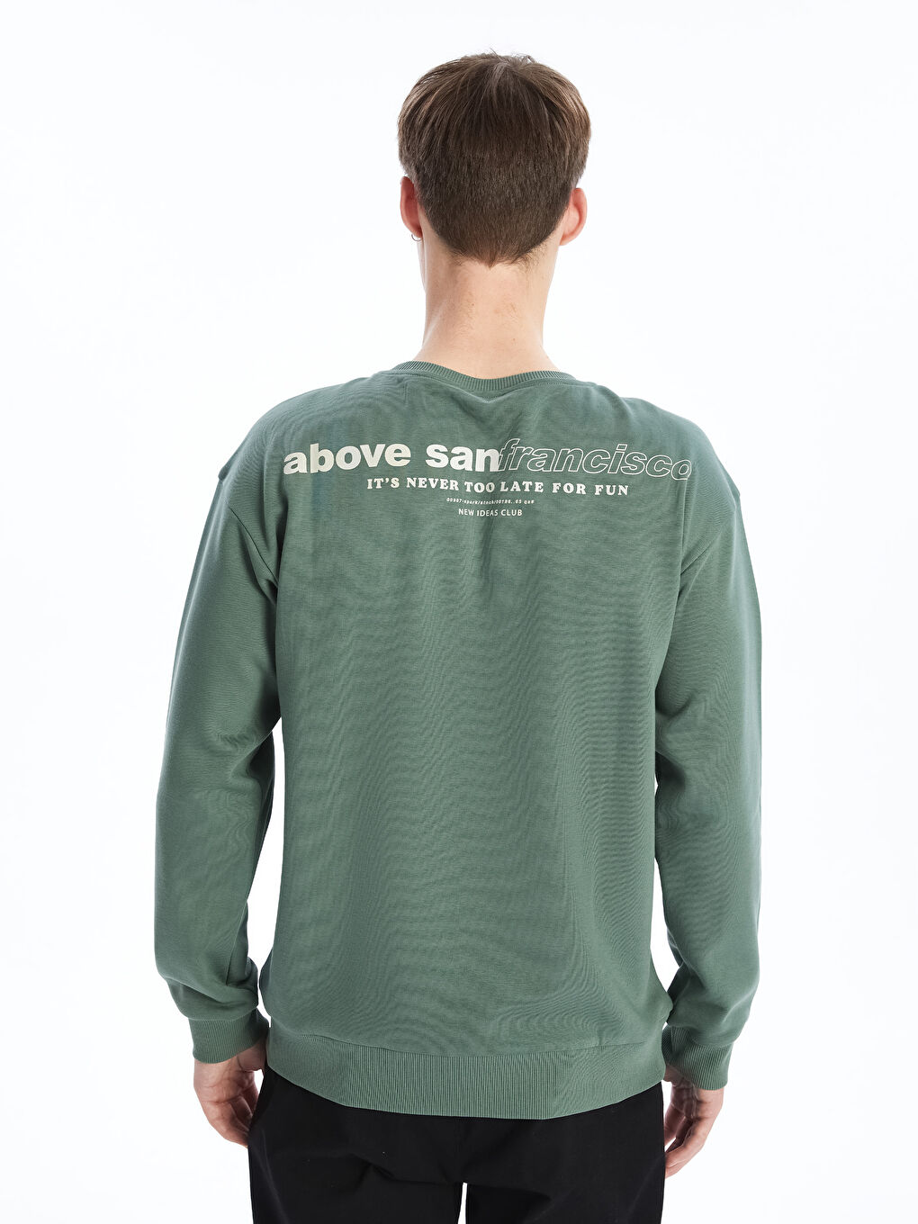 Crew Neck Printed Men's Thick Sweatshirt-4