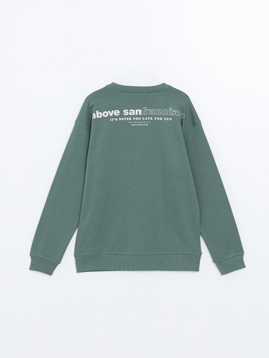 Crew Neck Printed Men's Thick Sweatshirt-7