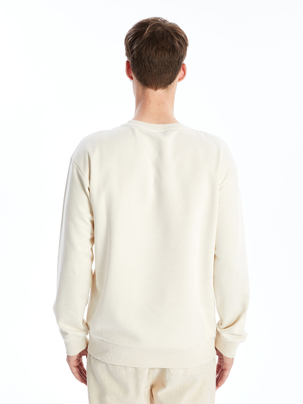 Crew Neck Long Sleeve Printed Men's Sweatshirt-3