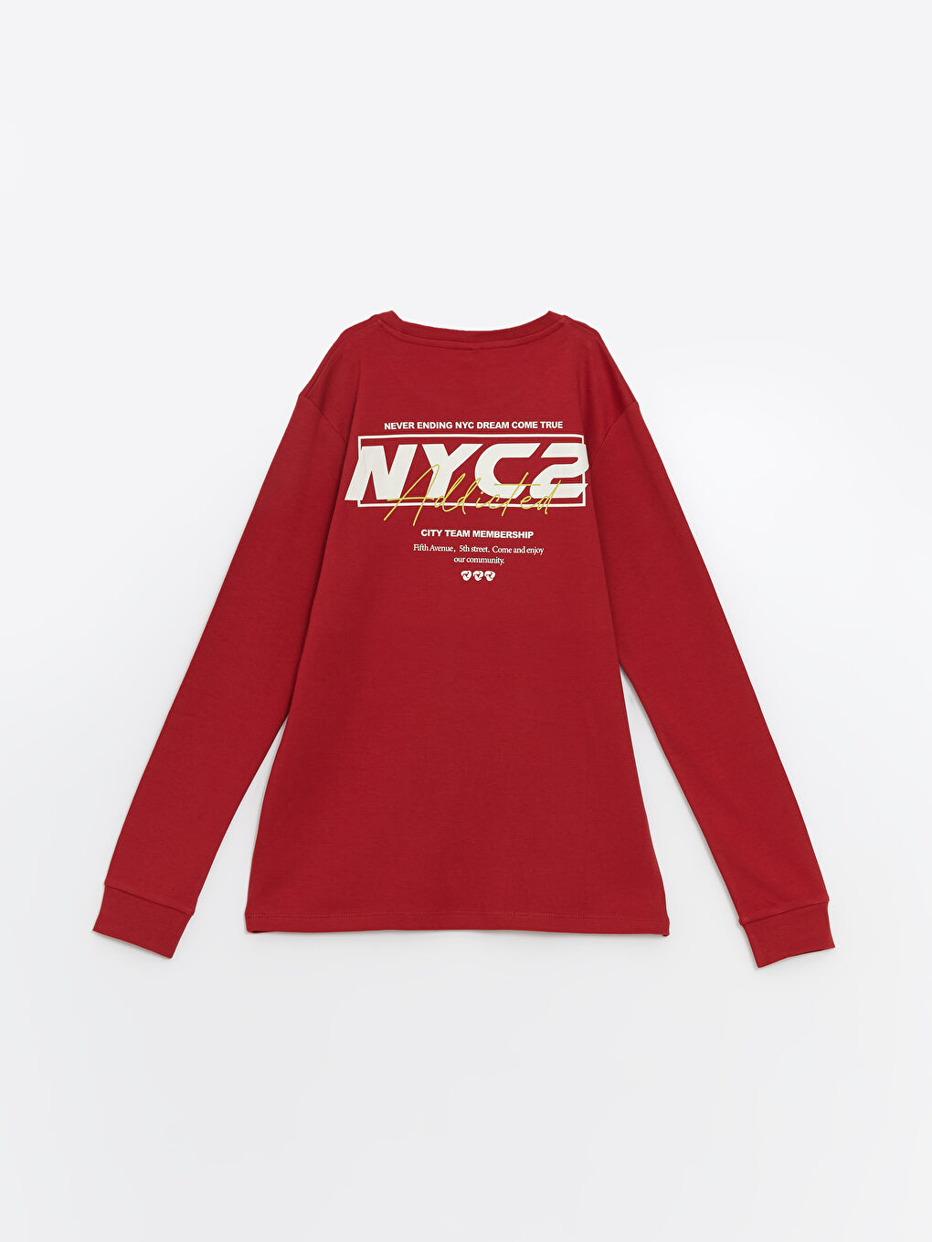 LCW Kids Crew Neck Boys' T-Shirt -W46579Z4-R3T