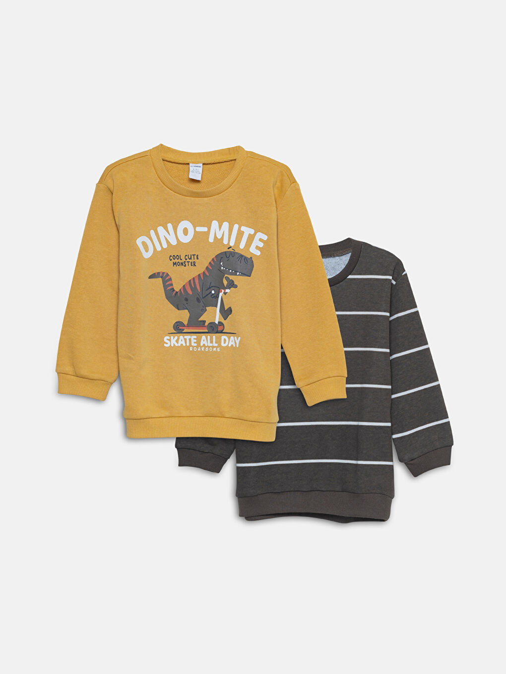 Printed Long Sleeve Baby Boys' Sweatshirt 2 Pack -W47367Z1-G4N