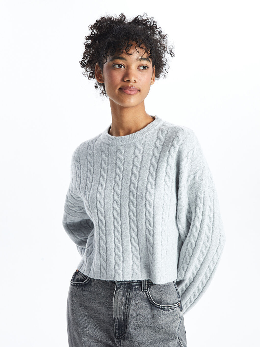 Crew Neck Self-Patterned Women's Knitwear Sweater -W47670Z8-YHA