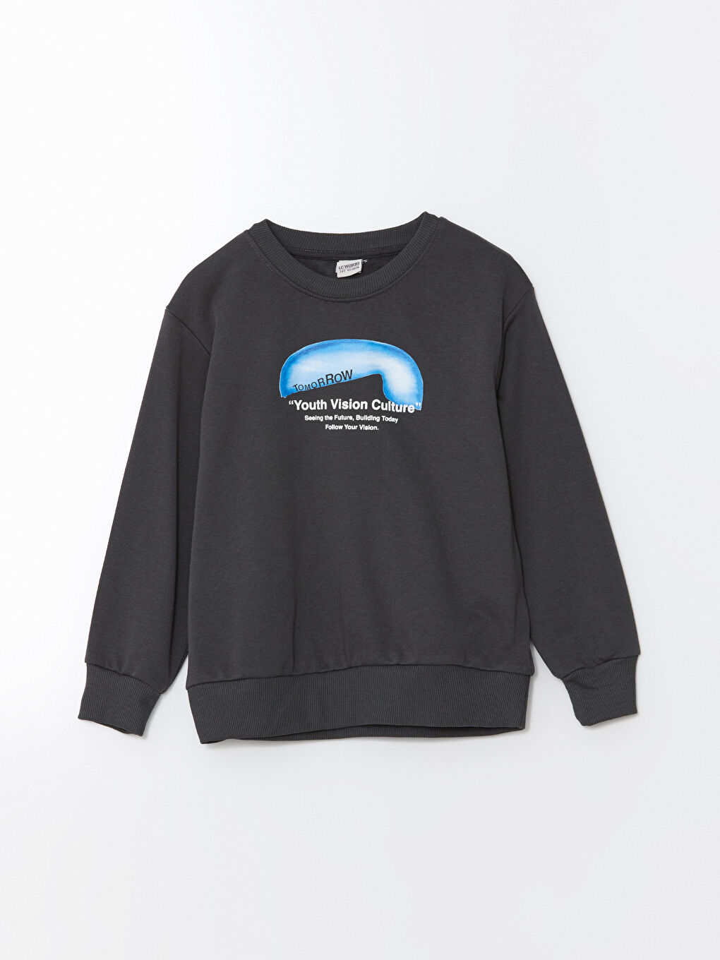 LCW Kids Antrasit Bisiklet Yaka Erkek Çocuk Sweatshirt