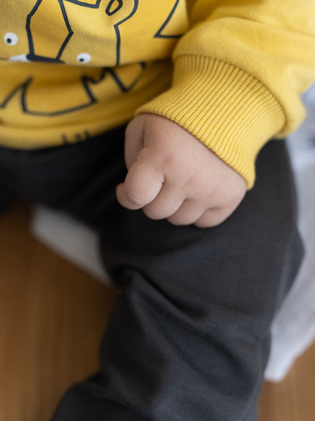 LCW baby Mat Sarı Bisiklet Yaka Uzun Kollu Baskılı Erkek Bebek Sweatshirt ve Eşofman Alt 2'li Takım - 3