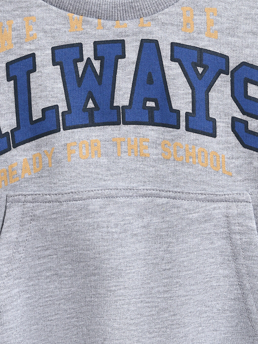 Crew Neck Printed Boys' Sweatshirt-6