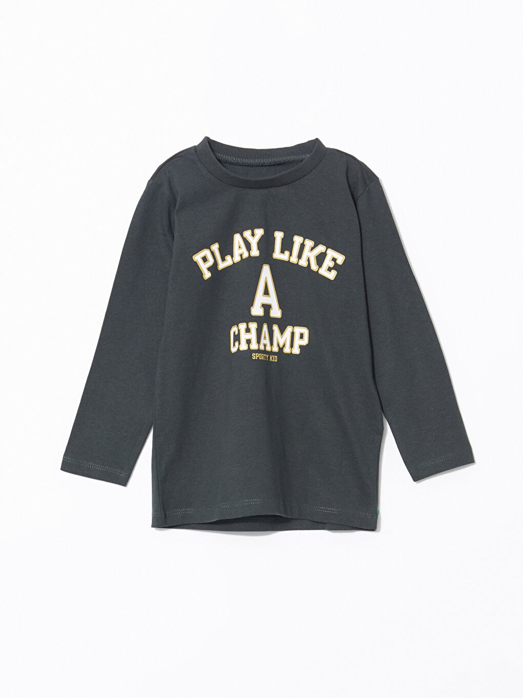 LCW Kids Crew Neck Long Sleeve Baby Boys' T-Shirt 2 Pack -W4BK50Z1-R4W