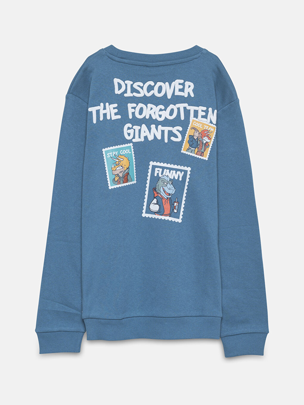 LC Waikiki Crew Neck Printed Long Sleeve Boys' Sweatshirt -W4CE46Z4-HBE