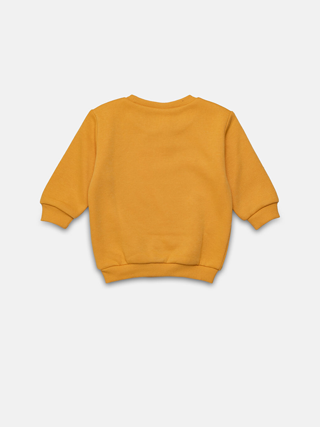Crew Neck Thick Printed Baby Boys' Sweatshirt -W4CL49Z1-GLS